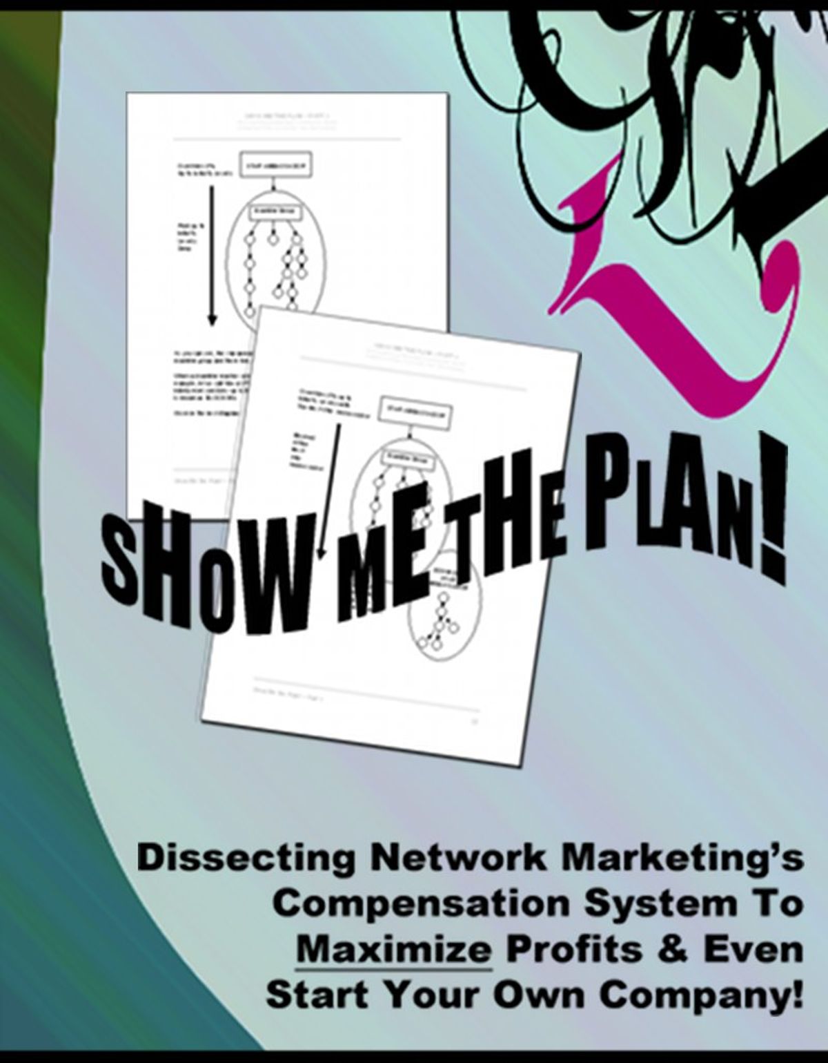 Show Me The Plan ? Part 2